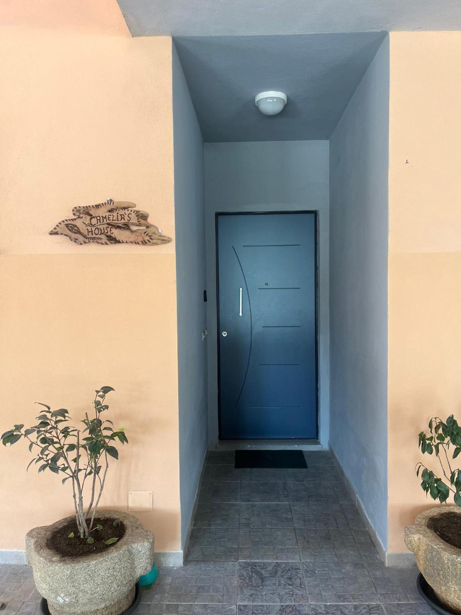 Camelia'S House Apartment Olbia Exterior photo